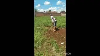 Rasgador desbravando