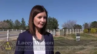 How Walker Works - Business License