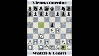 Vienna Opening Trap 3 | Chess Trap | Learn Chess Trap in 30 Seconds | Checkmate #Shorts