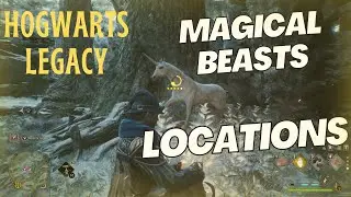Where to find Magical BEASTS in Hogwarts Legacy