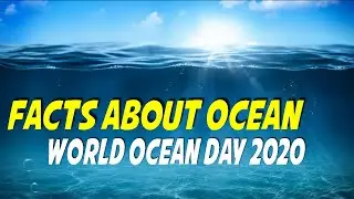 World Ocean day 2020 | Facts about Ocean and Seashore