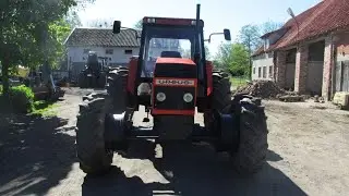 Stara Gwardia - Adrianek110