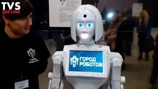 Город роботов выставка в Воронеже. Сити парк Град / City of robots.  Exhibition.  Russia
