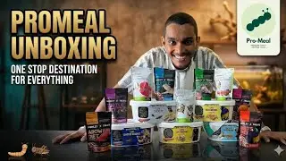 Unboxing India&rsquo;s First Live Insect Fish Food!? 🐛🔥 | PROMEAL Unboxing & First Look