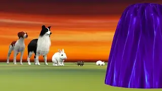 White Rat, Rat, Rabbit, Dogs Crossing Fountain Animal Game Transformation