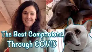 How to be a travel nurse with two dogs on the road | Atlas MedStaff Daily 732