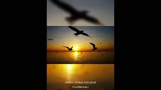 Авторская песня.Автор слов Алексей Гуцуляк. #author #creative #song #youtube #viral #trending #music