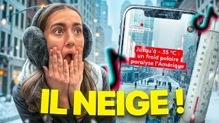 ON VIT UNE TEMPETE DE NEIGE A NEW YORK ( on a du se confiner...)