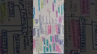#Biological classification #mindmaps 😀✌️