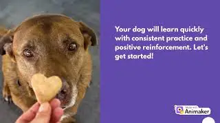 Teach your dog to reliably respond to the &ldquo;Sit&rdquo; command.