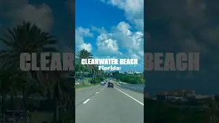 Clearwater Beach | Florida | Things To Do Tampa Bay