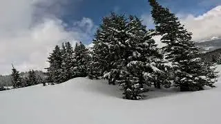 Scouting Out White Pass