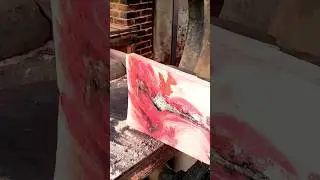 Safety First | Best Practice for Sawmill Working. #shorts