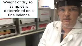 Soil Organic Matter content (SOM) using Loss on Ignition method
