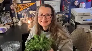 How Chamomile Helped Me Heal: Nervous System Recovery, PTSD & Natural Pain Relief #arachnoiditis