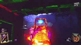 Rave In The Redwoods - Rave On (Music Easter Egg) Trophy / Achievement Guide