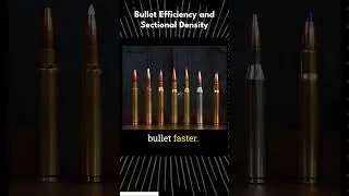 Bullet Efficiency and Sectional Density