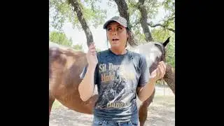 How to Decide if Your Horse Needs Horseshoes