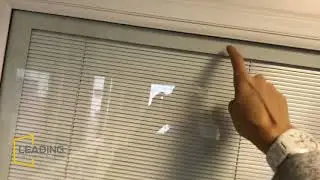 Leading Integral Blinds