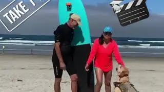 The Kelly Clarkson Show 😀❤️&rdquo;What I&rsquo;m Liking&rdquo;😀❤️ Surfing Dog
