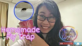 DIY tips on how to make a homemade fly trap By TEAM GOODMAN