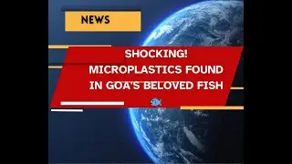 A Hidden Threat | Microplastics in Goa's Fish