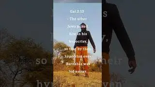 Jireh silozi remix ( official visualizer)