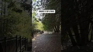 Top 5 trails in Toronto | Summer trails | Toronto hikes