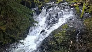 🛀 Sound Bath: 4 Hours of Thundering PNW Emerald Water &mdash; Forest White Noise 🌬️