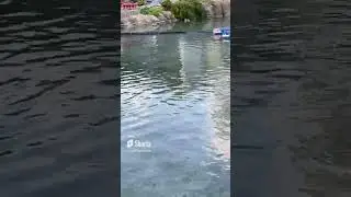 Boat hitting a buoy
