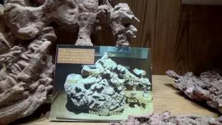 Yellowstone National Park - 2017 - Dinosaur Center of Wyoming