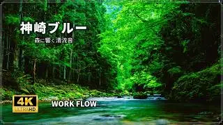 【集中・作業用BGM 2時間】時がとける没入感｜神崎ブルー、鳥の声と清流の囁き ASMR