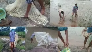 Indian village Fishing in deep rural area river fishing by net, Fishing Adventure  in our village