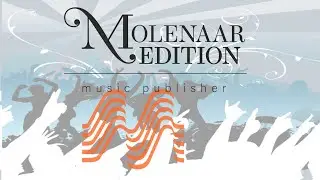 Strangers in the Night - Bert Kaempfert/Singleton/Arr. Harald Suilen