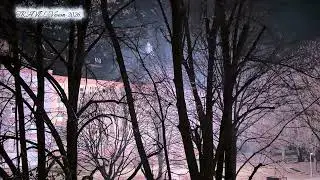 iPhone Air. 2026. Magán tűzijáték! Magyarország, Pécs. 2026. január 1., csütörtök 0:12 