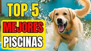 ‼️TOP 5 Mejores PISCINAS para PERROS Desmontables y Plegables-Comparativa Dibea vs Lionto vs Meowant