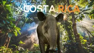 J'explore la jungle du Costa Rica - Des animaux partout !