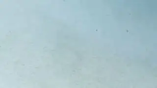 Huge Locust(Tiddi)Group Passes Jaipur City.3 km wide & 6 km long.टिड्डे