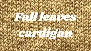 Fall Cardigan | Vlog of a Knitwit
