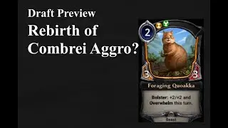 Draft Preview (run3) combrei