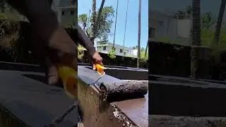 water Proofing on DPC plinth #waterproof #shortvideo #short #construction #viral