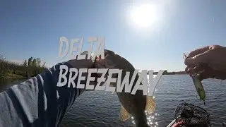 July 2025 Bass ep.1, Delta Breezeway