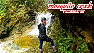 The Upper Mosquito Creek Trail Hiking In North Vancouver Vlog 4k