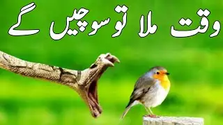 Sad quotes about life that make you cry in urdu | 2 line urdu sad poetry images |  Golden Words