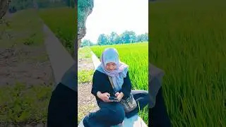 Together Is Our Favorite Place #shorts #viral #trending #fyp #youtubeshorts #familylove #simplejoy