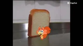 Squirrel getting crushed by a piece of bread meme #capcut #funny #meme