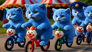 The Blue Kitten Who Followed the Light: A Silent Emotional Journey