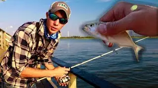 PIER FISHING for Snapper Blues in Mid - Summer  (South Shore Long Island)