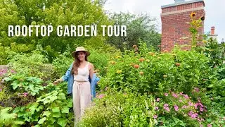 August Rooftop Garden Tour!🪴What Minimal Maintenance Did To My Garden