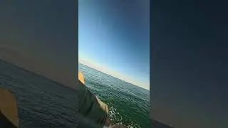 Brain reset with sea waves 🌊 For those 2AM study marathons